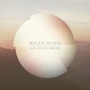 Seeking Shelter - Miles Avida