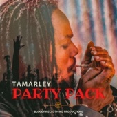 Party Pack artwork