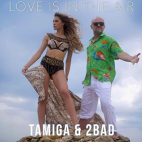 Tamiga & 2Bad - Love Is in the Air artwork