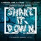 Shake It Down (Tommie Sunshine & Slatin Refresh) [Derrick Carter Retool] - Single