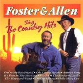 Sing the Country Hits artwork