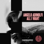 All I Want (Extended Mix) artwork