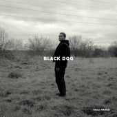 Black Dog - Single