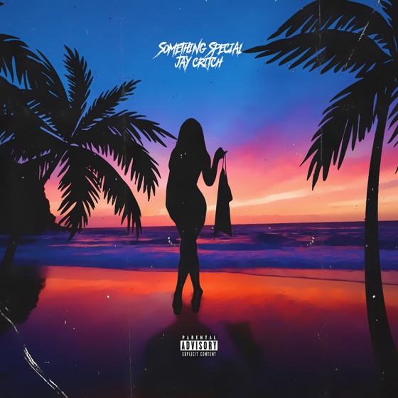 Cover artwork for Something Special
