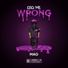 Did Me Wrong - Single