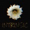 Intrinsic - Don Shimoda lyrics