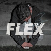 Flex artwork