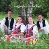 Polhorská muzika Goralská gajdošská ľudová hudba - Hojdana