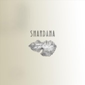 Shardana artwork