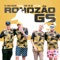 Robozão Gs (feat. MC DN & MC Yuri) - Dj Yuri Castro & Toguro lyrics