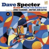 Dave Specter - Sanctifunkious