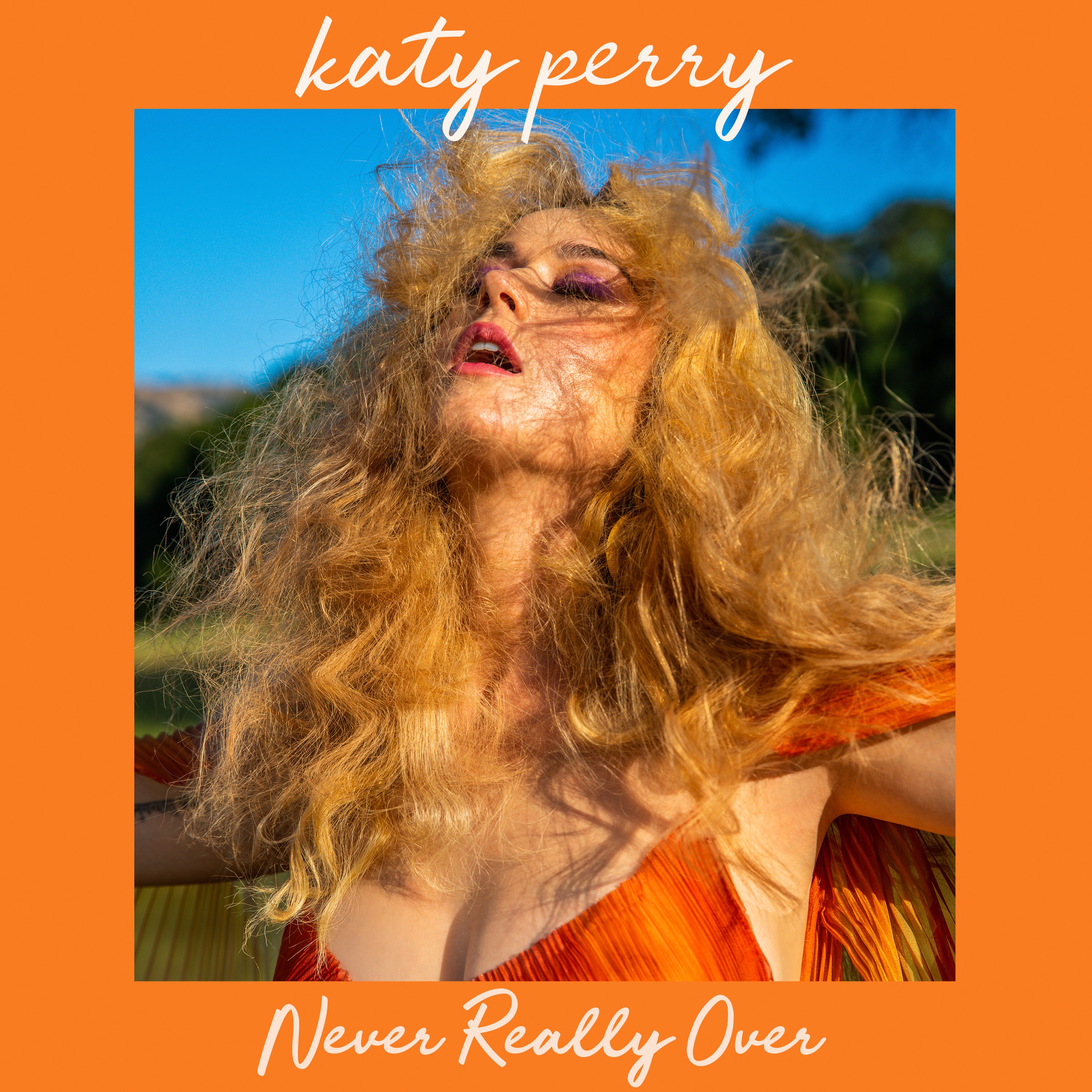 Never Really Over - Single