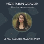 Muzik Ruhun Gidasidir (feat. Jan Pieter van der Giessen) artwork