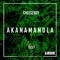 Akanamandla (feat. Teexy) - Cheeseboy lyrics