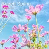 Beech Spring (feat. Lewis Clark) ([nstrumental Version] - Single