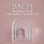 Bach: Works for Organs / Sonatas artwork