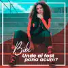 Unde Ai Fost Pana Acum? - Single album lyrics, reviews, download