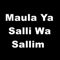 Maula Ya Salli Wa Sallim - Qari Rizwan Ullah lyrics