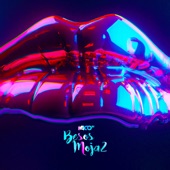 Besos Moja2 artwork