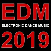 EDM 2019 artwork