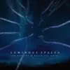 Luminous Spaces - Single album lyrics, reviews, download