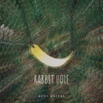 Rabbit Hole by Ruby Waters