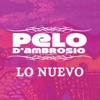 Pelo D'Ambrosio - OJALÁ