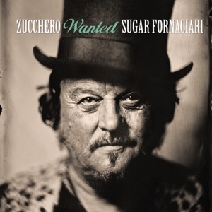 Zucchero - X Colpa Di Chi? - Line Dance Music