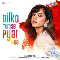 Shirley Setia - Dilko Tumse Pyar Hua - Single artwork