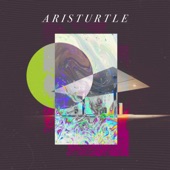 Aristurtle - 1991