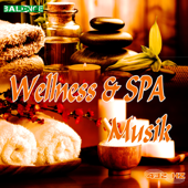 Wellness & Spa Musik - 432 Hz