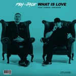 PBH & Jack - What Is Love (feat. Cammie Robinson)