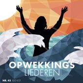 Mijn anker (822) [Live at Opwekking Worship Weekend, 22-24 March 2019] artwork