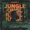 Jungle - Single album lyrics, reviews, download