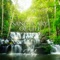 Before Sleep - Jane - Angela Flying lyrics