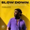 Slow Down (Soulstice Radio Remix) artwork