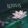 Stream & download LOTUS: Best Contemplative Position for Meditation & Yoga