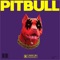 Pitbull (feat. Durka & Parta) - LeeLow & RioDa lyrics