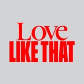 Love Like That (feat. Dani Poppitt) [BYNON Remix] artwork