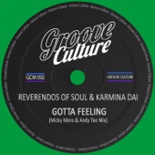 Gotta Feeling (Micky More & Andy Tee Club Mix) artwork