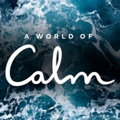 A World of Calm (Music from the Original TV Series) artwork