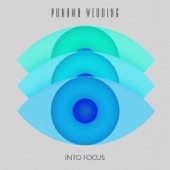 Into Focus - EP artwork