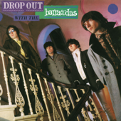 Drop Out With The Barracudas - The Barracudas
