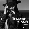 Dream of You (with R3HAB) - Single, 2020