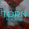 Torn - Mykull Ray lyrics