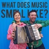 What Does Music Smell Like? - Single