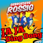 Ja Ja Ding Dong artwork