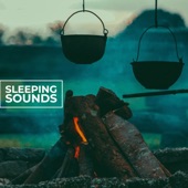 Sleeping Nature Music artwork