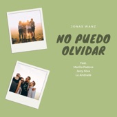 No Puedo Olvidar (feat. Marília Padovan, Jerry Silva & Lu Andrade) artwork
