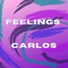 Feelings